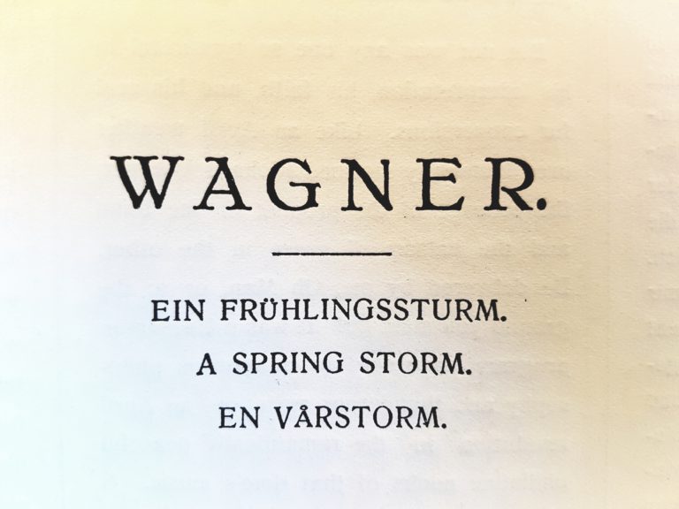 Essay om mig selv 07 image